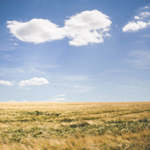 女儿情 - 2023:8:21 下午9.43