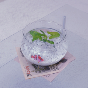 Swimming you (Inst.)