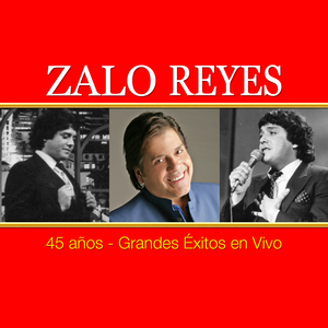 Un Ramito de Violetas (En Vivo)