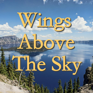 Slavonic Dance Four Hand Piano, Op 46: VI