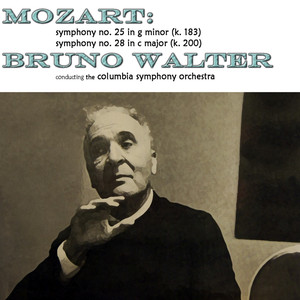 Symphony No. 28 in C Major, K. 200: II. Andante