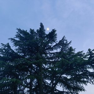 我在浴室排队搓澡等的花儿都谢了