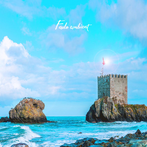 시장에서 신나게 춤추는 아일랜드인들