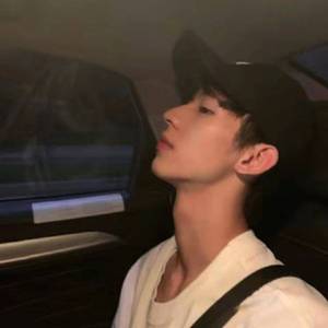 再见吧，喵小姐