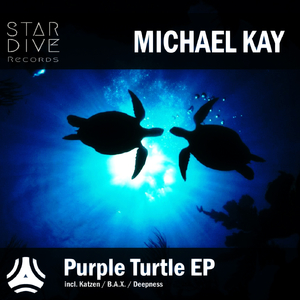 Purple Turtle (Katzen Remix)