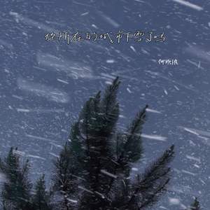 你所在的城市下雪了吗