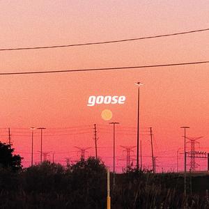 goose