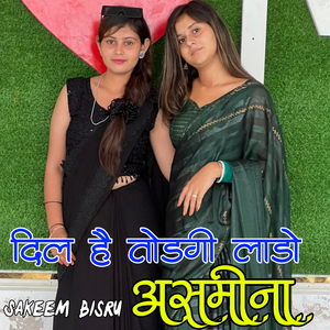 दिल है तोड़ेगी लाड़ो असमीना