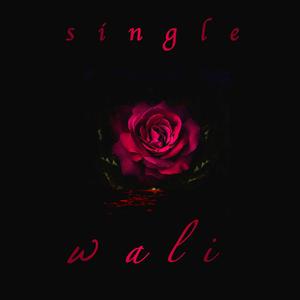 Wali (feat. Mr Leo)