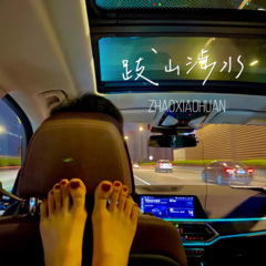 老曲新嗨 (DJ版)