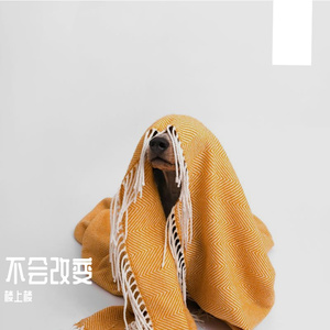 不会改变