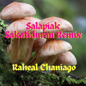 Salapiak Sakatiduran Remix
