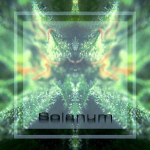 Solanum
