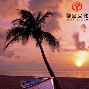 轻音乐舒缓.催眠曲五分钟入睡(古筝)