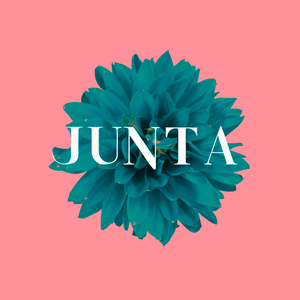 Junta