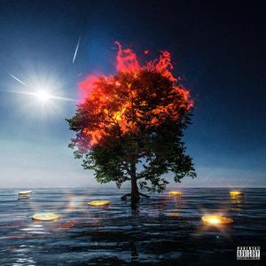 点石成金（Stone to Gold）