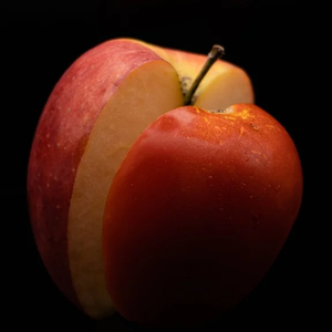 曾经有一份爱情  作词：陈新平作曲：陈新平演唱：陈新平编曲：陈新平