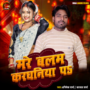 Mare Balam Kardhaniya Pa