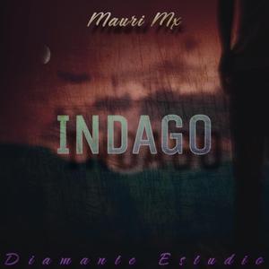Indago