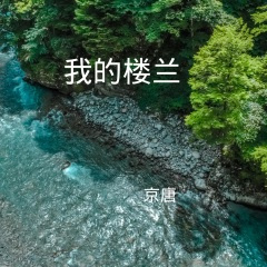 我梦见我梦见我 (DJ版)