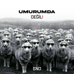 Umurumda Değil