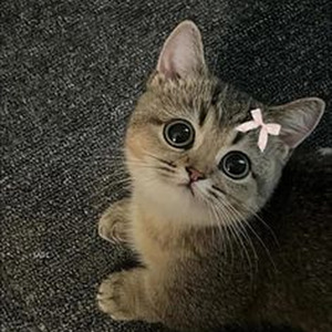 I Did It My Way (sped up)