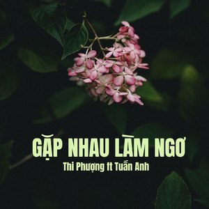 Gặp Nhau Làm Ngơ