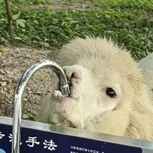 高中的无意义的（prod.han&Y2Acation）