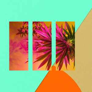 一尘不染阅读时间印象数