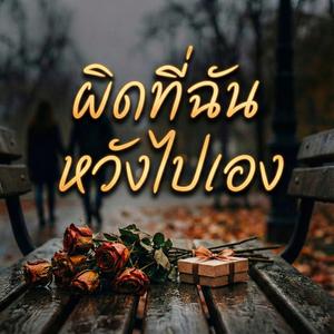 ผิดที่ฉัน หวังไปเอง