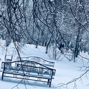 冬日雪夜的思念