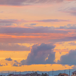 心动（cover：棱镜）