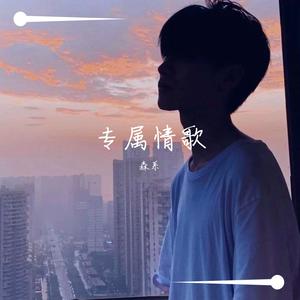 一首情歌（翻自 庞龙）