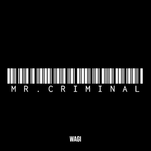 Mr.Criminal