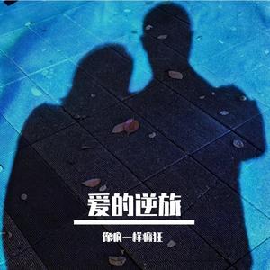 我爱你，我的姑娘