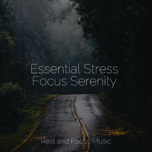 Concerning Relaxation