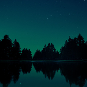 お城のシチュー