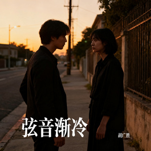 弦音渐冷