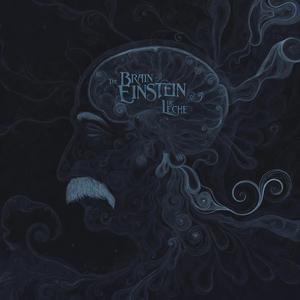 The Brain of Einstein