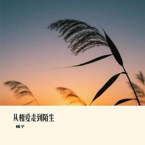 从相爱走到陌生 (Remix)