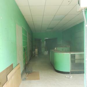 Opening Theme to the Anthropocene