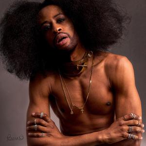 PRINCE VIBES