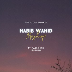 Habib Wahid Mashup