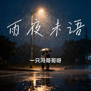 雨夜未语