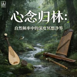 胡琴悲智·情绪平衡冥想