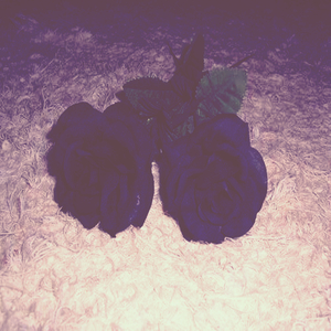 (☂) Kingz Nov Top40 2017