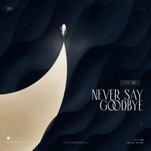 Never Say Goodbye（翻自 Mario&Nasty）