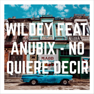 No Quiere Decir (feat. Anubix)