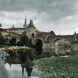 長不大的張志明.