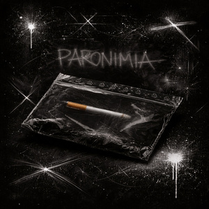 Paronimia